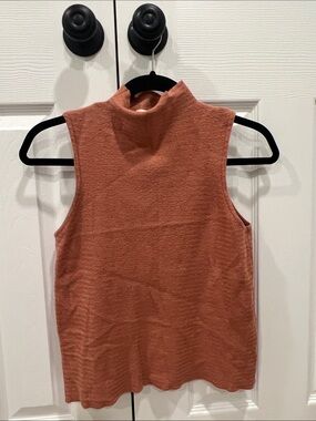 Hidden Label Sleeveless Mock Neck Knit Top in Rust